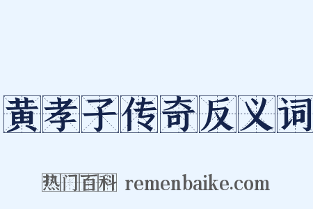 黄孝子传奇反义词是什么意思的图片